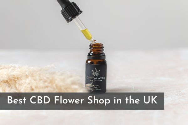 Best CBD Flower Shop in the UK
