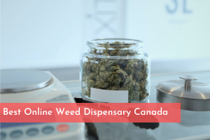 Best Online Weed Dispensary Canada