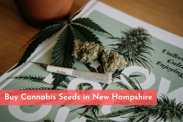 Buy Cannabis Seeds in New Hampshire