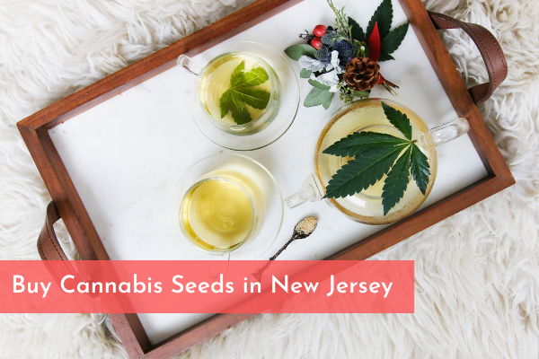 Buy Cannabis Seeds in New Jersey