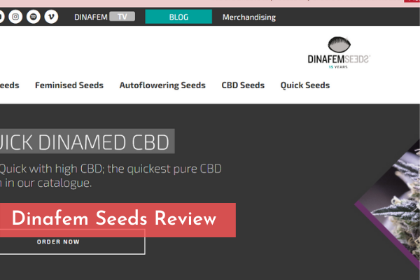 Dinafem Seeds Review