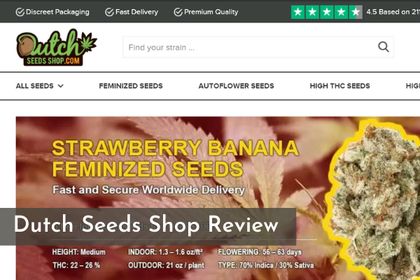 Dutch Seeds Shop Review