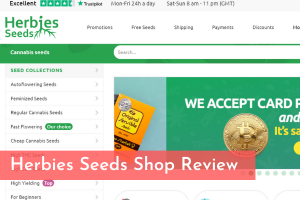 Herbies Seeds Shop Review
