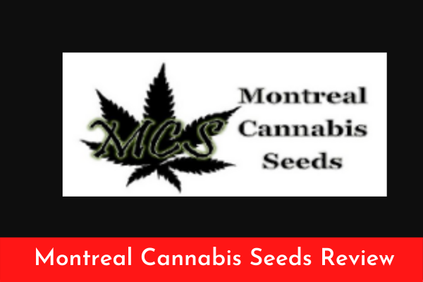 Montreal Cannabis Seeds Review