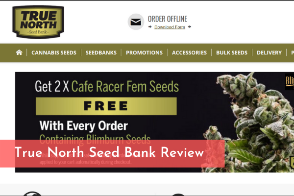 True North Seed Bank Review