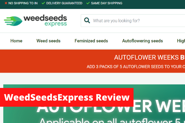 WeedSeedsExpress Review